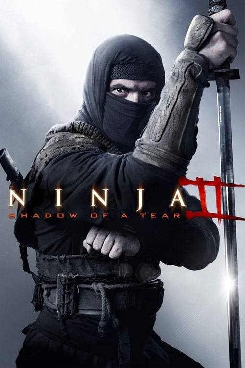 ดูหนังออนไลน์ฟรี Ninja shadow of a tear (2013) นินจา 2 น้ําตาเพชฌฆาต