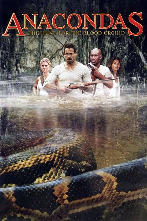 ดูหนังออนไลน์ฟรี Anacondas 2 (2004) อนาคอนดา เลื้อยสยองโลก 2 ล่าอมตะขุมทรัพย์นรก