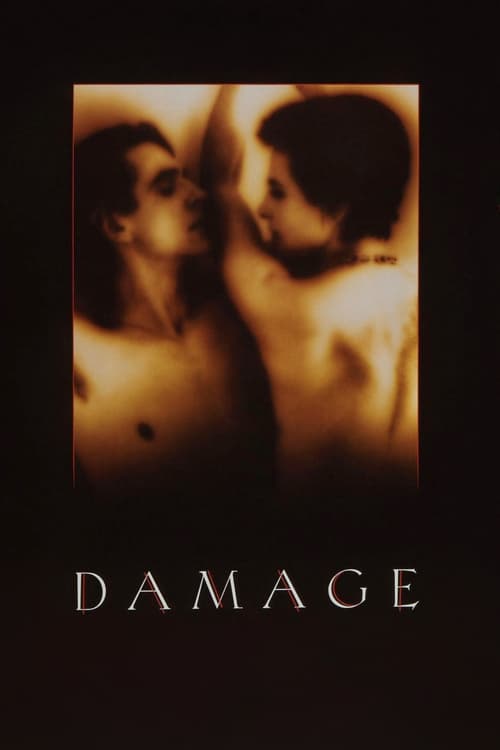 ดูหนังออนไลน์ฟรี Damage (1992) ปรารถนาลึกสุดใจ
