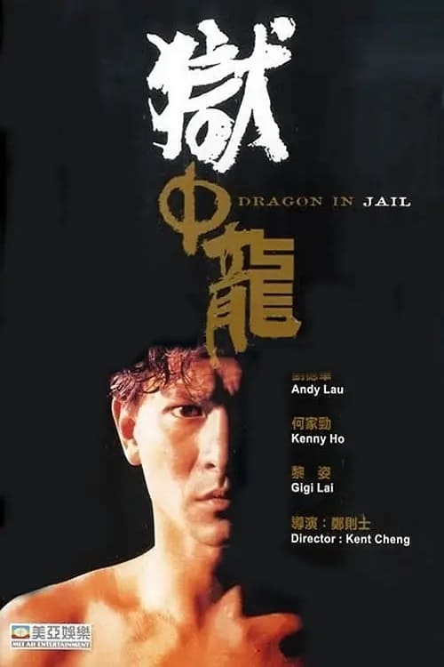 Dragon in Jail (1990) จำไว้เมียข้าเจ็บไม่ได้