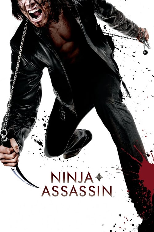 ดูหนังออนไลน์ฟรี Ninja Assassin (2009) แค้นสังหาร เทพบุตรนินจามหากาฬ
