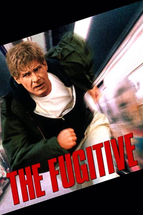 ดูหนังออนไลน์ฟรี The Fugitive (1993) ขึ้นทำเนียบจับตาย