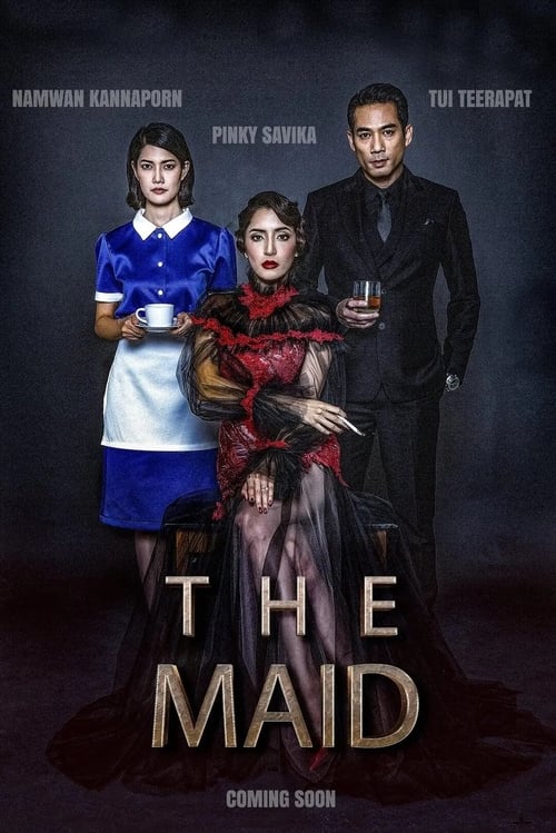 ดูหนัง [netflix] The Maid 2020 สาวลับใช้ หนังเต็มเรื่อง ฟรีhd