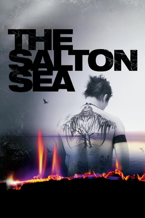 ดูหนังออนไลน์ฟรี The Salton Sea (2002) ฝังแค้น ล่าล้างเดือด