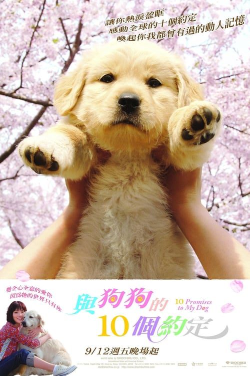 10 Promises to My Dog (2008) 10 ข้อสัญญาน้องหมาของฉัน