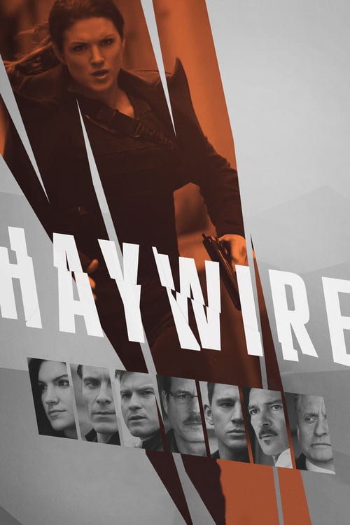 Haywire (2011) เธอแรง หยุดโลก