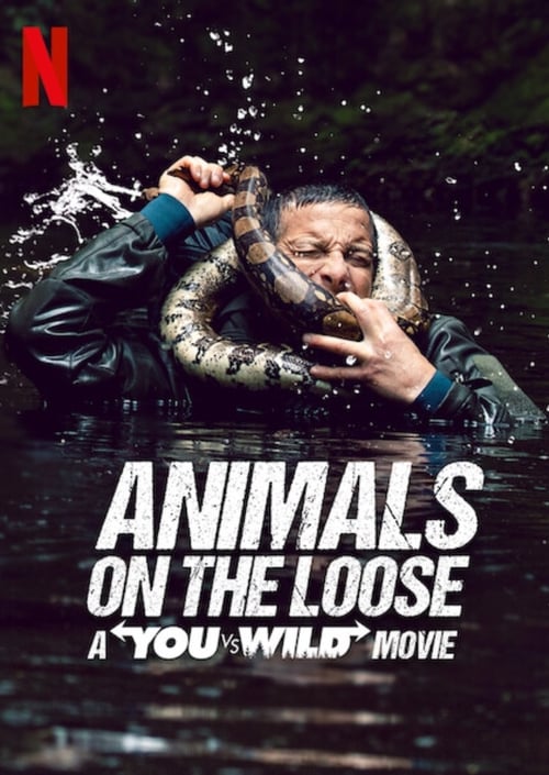 ดูหนังออนไลน์ฟรี [NETFLIX] Animals on the Loose A You vs Wild Movie (2021) ผจญภัยสุดขั้วกับแบร์ กริลส์ เดอะ มูฟวี่
