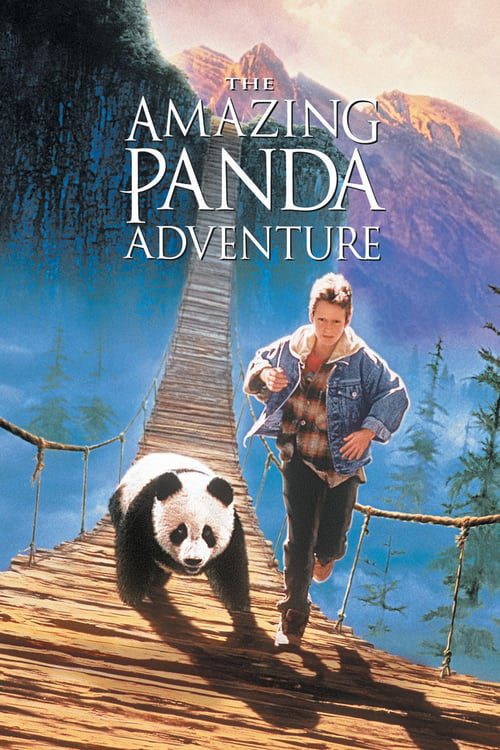 ดูหนังออนไลน์ The Amazing Panda Adventure (1995) แพนด้าน้อยผจญภัยสุดขอบฟ้า
