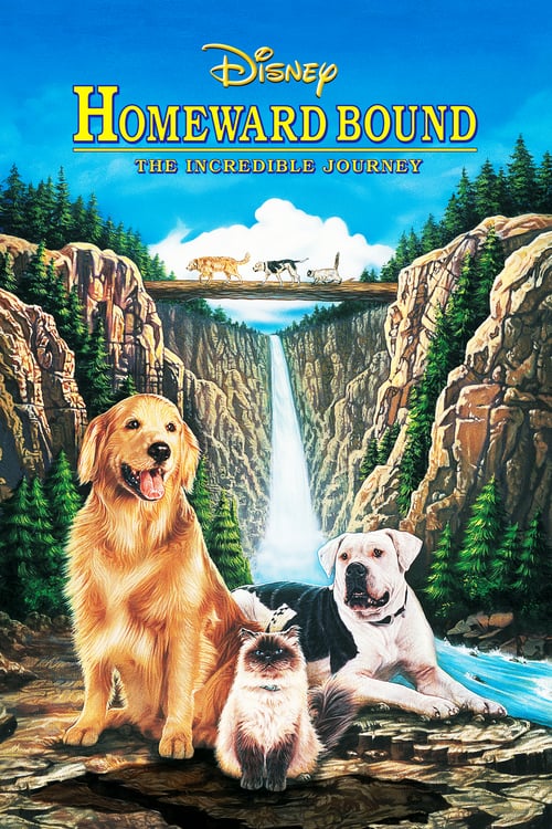 ดูหนังออนไลน์ฟรี Homeward Bound: The Incredible Journey (1993) 2 หมา 1 แมว ใครจะพรากเราไม่ได้