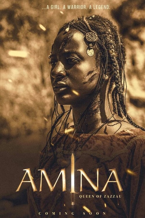 ดูหนังออนไลน์ฟรี [NETFLIX] Amina (2021) อะมีนา ราชินีนักรบ
