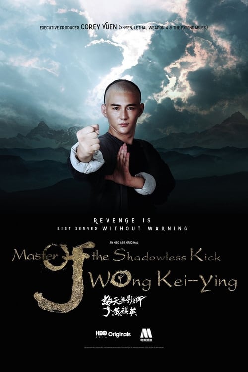 ดูหนังออนไลน์ Master of the Shadowless Kick Wong Kei-Ying (2017) หวง ฉี อิง บาทาไร้เงา