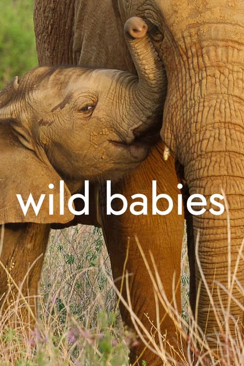 ดูหนังออนไลน์ฟรี Wild Babies (2022) เกิดในป่า EP.1-8 (จบ)