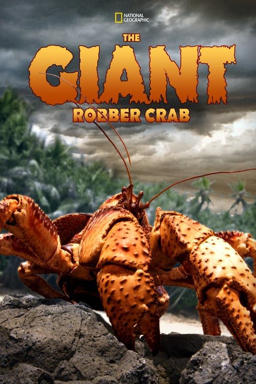 ดูหนังออนไลน์ฟรี The Giant Robber Crab (2019) ปูมะพร้าวแห่งเกาะคริสต์มาส