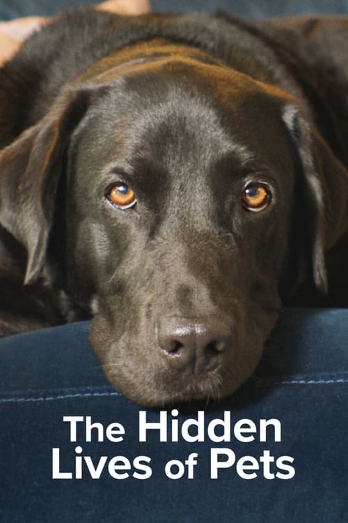 ดูหนังออนไลน์ฟรี The Hidden Lives of Pets (2022) ชีวิตลับสัตว์เลี้ยง EP.1-4 (จบ)