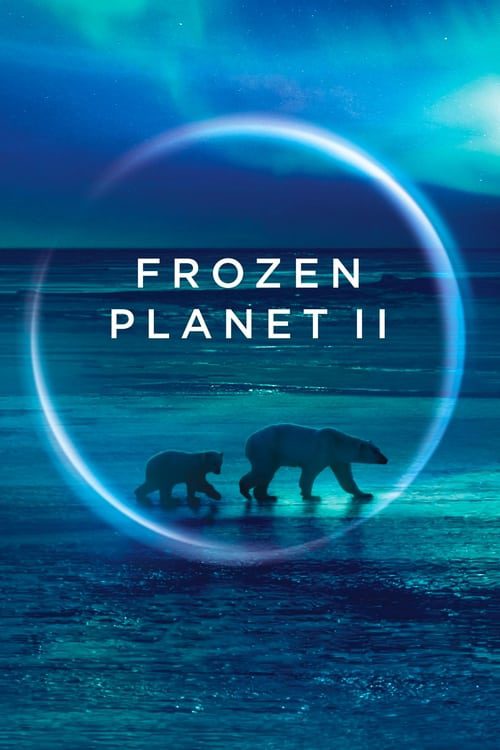 ดูหนังออนไลน์ Frozen Planet 2 (2022) EP.1-6 (กำลังฉาย)