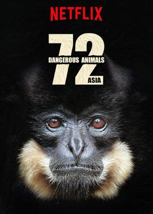 ดูหนังออนไลน์ 72 Dangerous Animals (2018) 72 สัตว์อันตราย EP.1-12 (จบ)