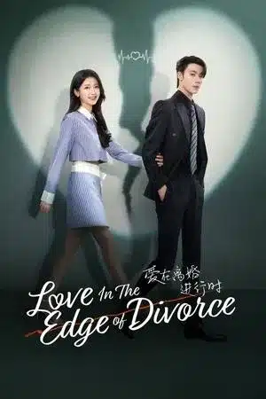 Love in the Edge of Divorce (2025) เมื่อหัวใจห่างไกลรัก